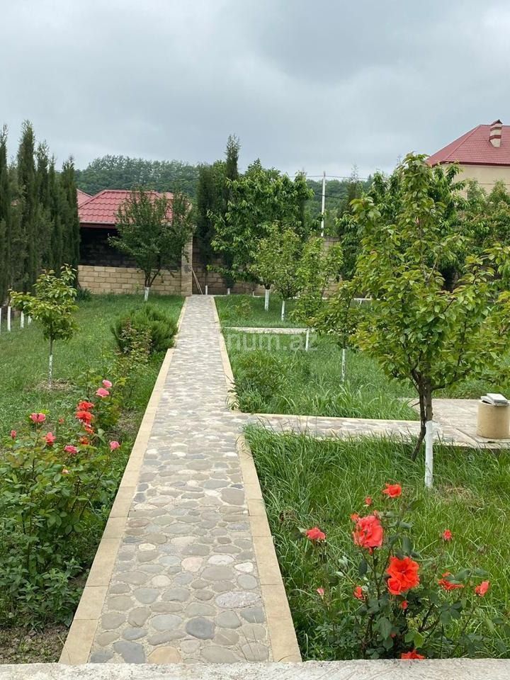 Şəkil