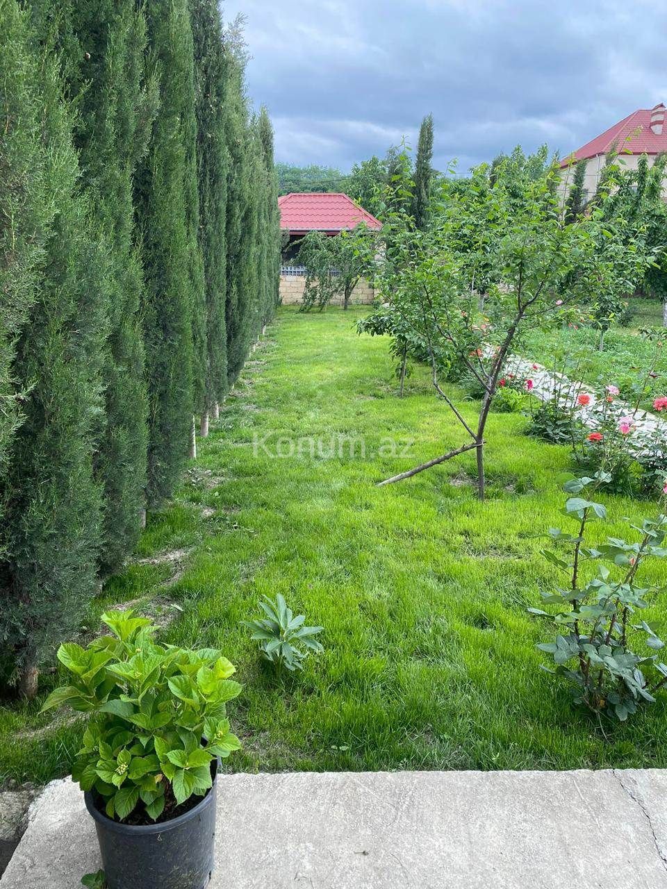 Şəkil