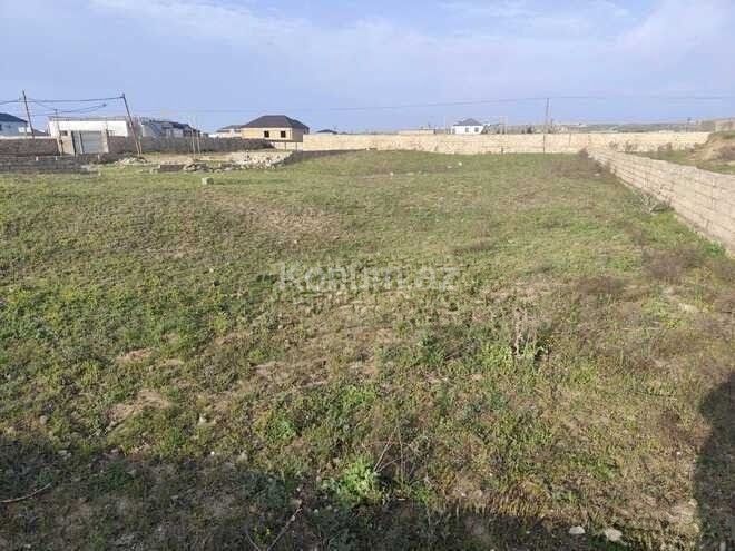 Şəkil