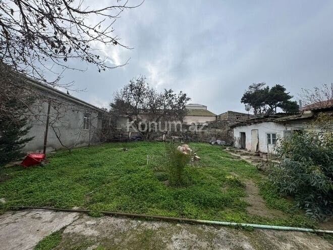 Şəkil