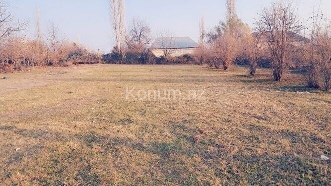 Şəkil