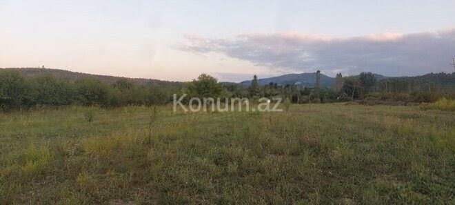 Şəkil