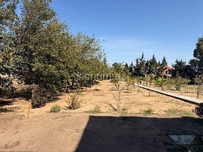 Şəkil