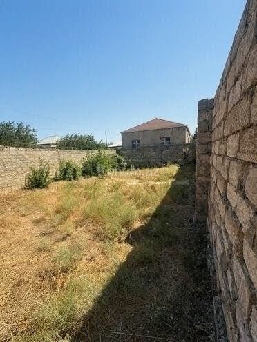 Şəkil