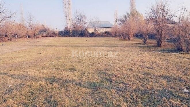 Şəkil