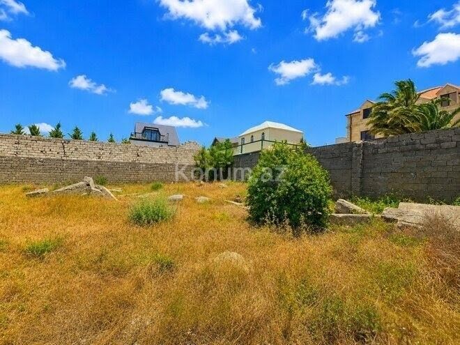 Şəkil