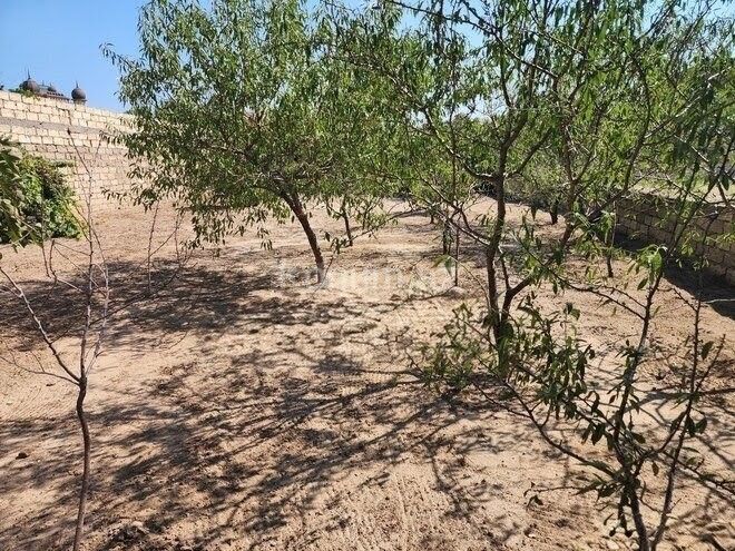 6 sot - Bakı, Sabunçu - satılır — foto 4
