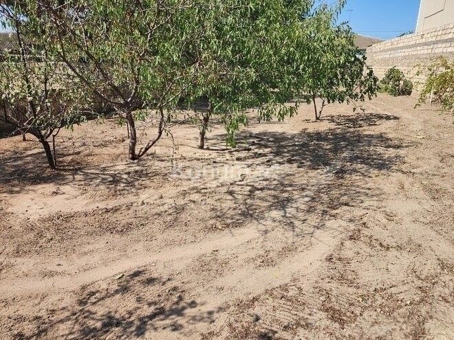 6 sot - Bakı, Sabunçu - satılır — foto 6