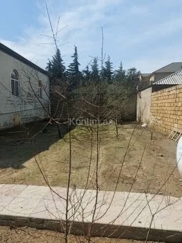 11 sot - Bakı, Abşeron - satılır — foto 3