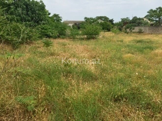 30 sot - Bakı, Xəzər - satılır — foto 3