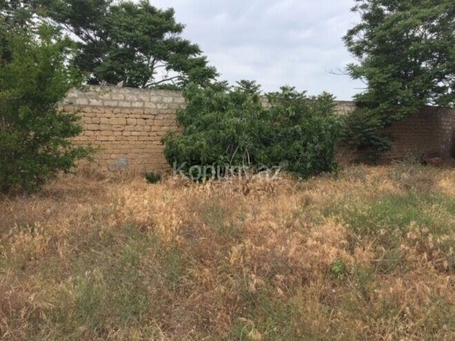 30 sot - Bakı, Xəzər - satılır — foto 6
