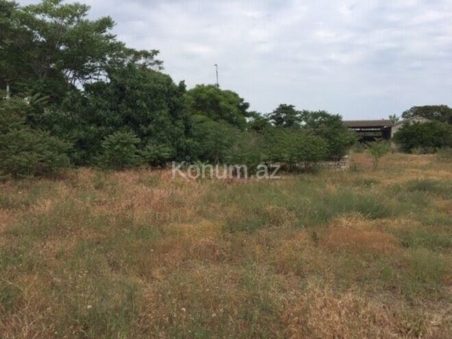 30 sot - Bakı, Xəzər - satılır — foto 9