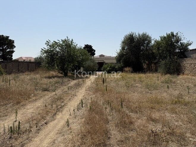 12 sot - Bakı, Xəzər - satılır — foto 2