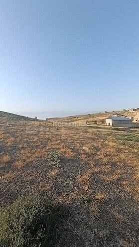 4 sot - Bakı, Abşeron - satılır — foto 2