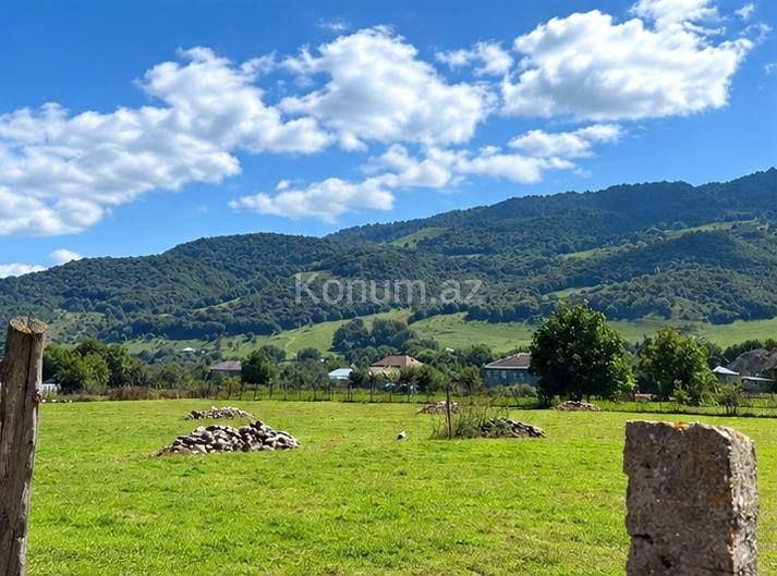 12 sot - Qusar - satılır — foto 2