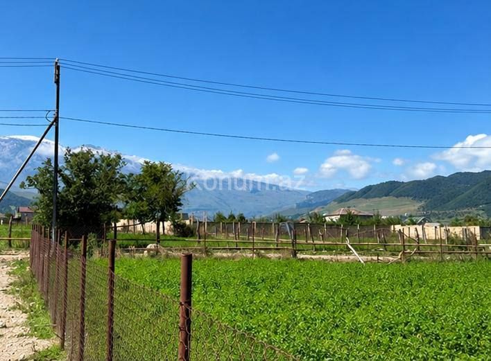 12 sot - Qusar - satılır — foto 3