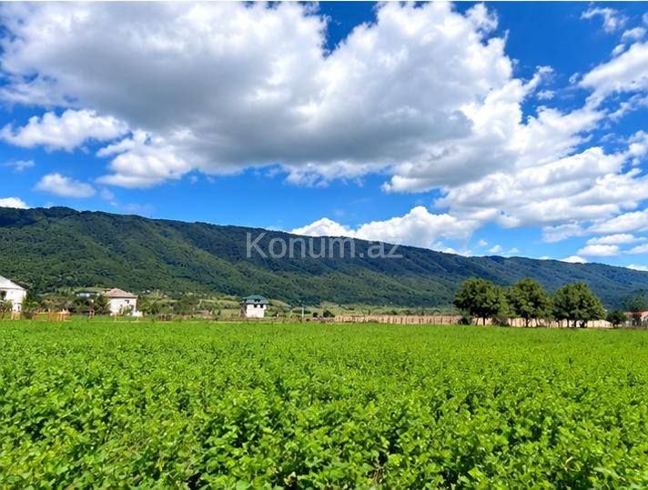 6 sot - Qusar - satılır — foto 2