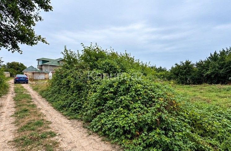 6 sot - Qusar - satılır — foto 2