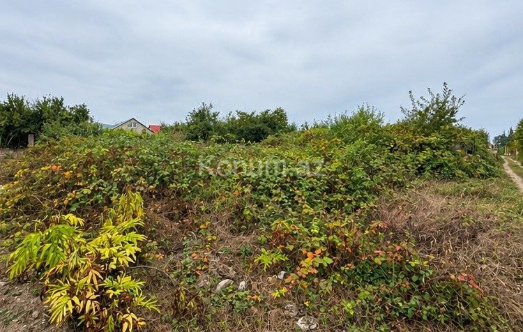 3 sot - Qusar - satılır — foto 3