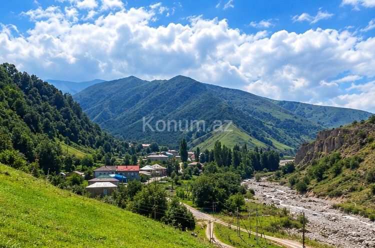 12 sot - Qusar - satılır — foto 2