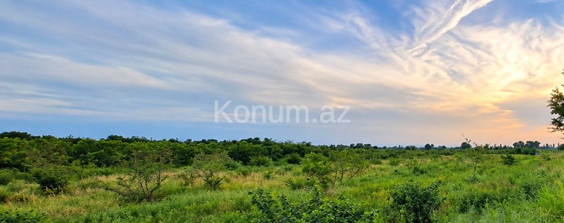100 sot - Xaçmaz - satılır — foto 4
