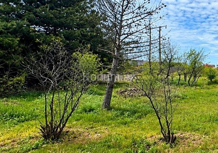 14 sot - Bakı, Xəzər - satılır — foto 4