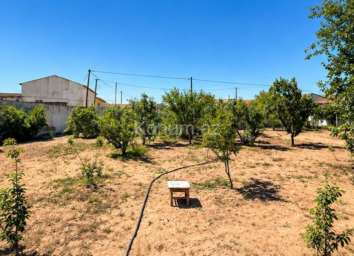 5 sot - Bakı, Xəzər - satılır — foto 3