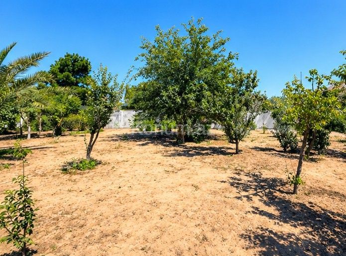 5 sot - Bakı, Xəzər - satılır — foto 2