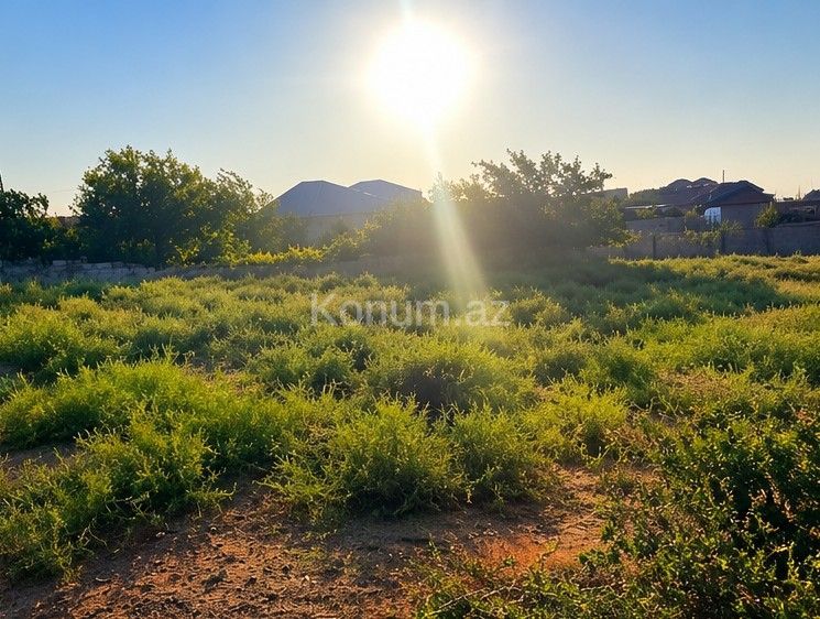 8 sot - Bakı, Abşeron - satılır — foto 2