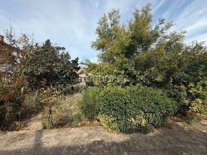6 sot - Bakı, Xəzər - satılır — foto 2