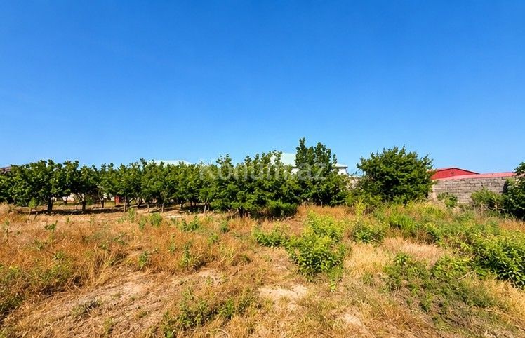 5 sot - Bakı, Xəzər - satılır — foto 2