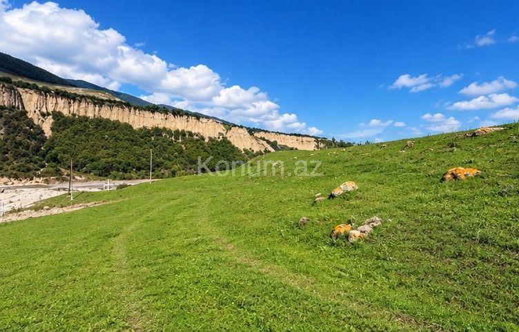 12 sot - Qusar - satılır — foto 2