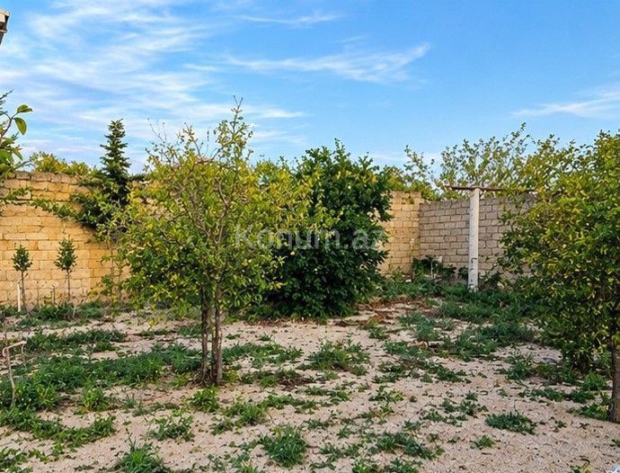 2,2 sot - Bakı - satılır — foto 2