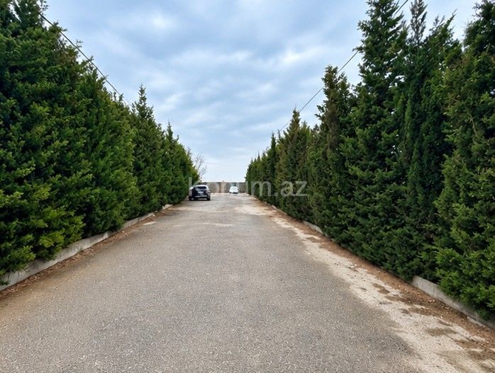 12 sot - Bakı, Xəzər - satılır — foto 3