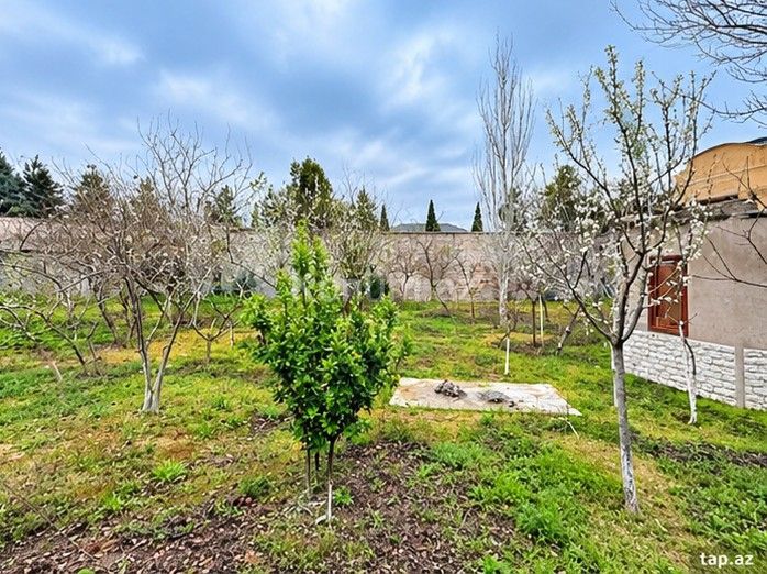 16 sot - Baku, Khazar - For sale — photo 3
