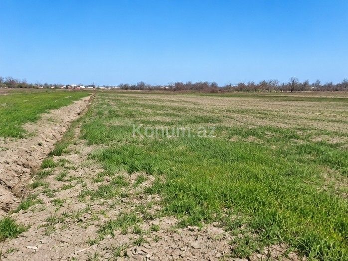 1,8 sot - Xaçmaz - satılır — foto 2