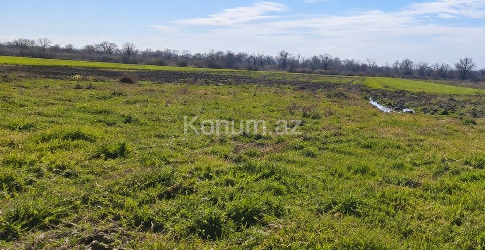 1,8 sot - Xaçmaz - satılır — foto 4