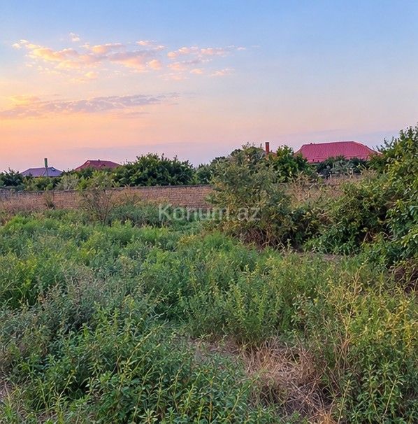20 sot - Masallı - satılır — foto 2