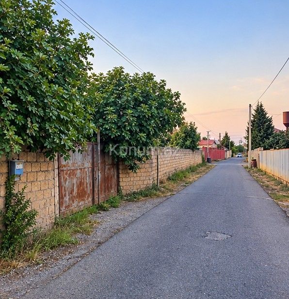 20 sot - Masallı - satılır — foto 3