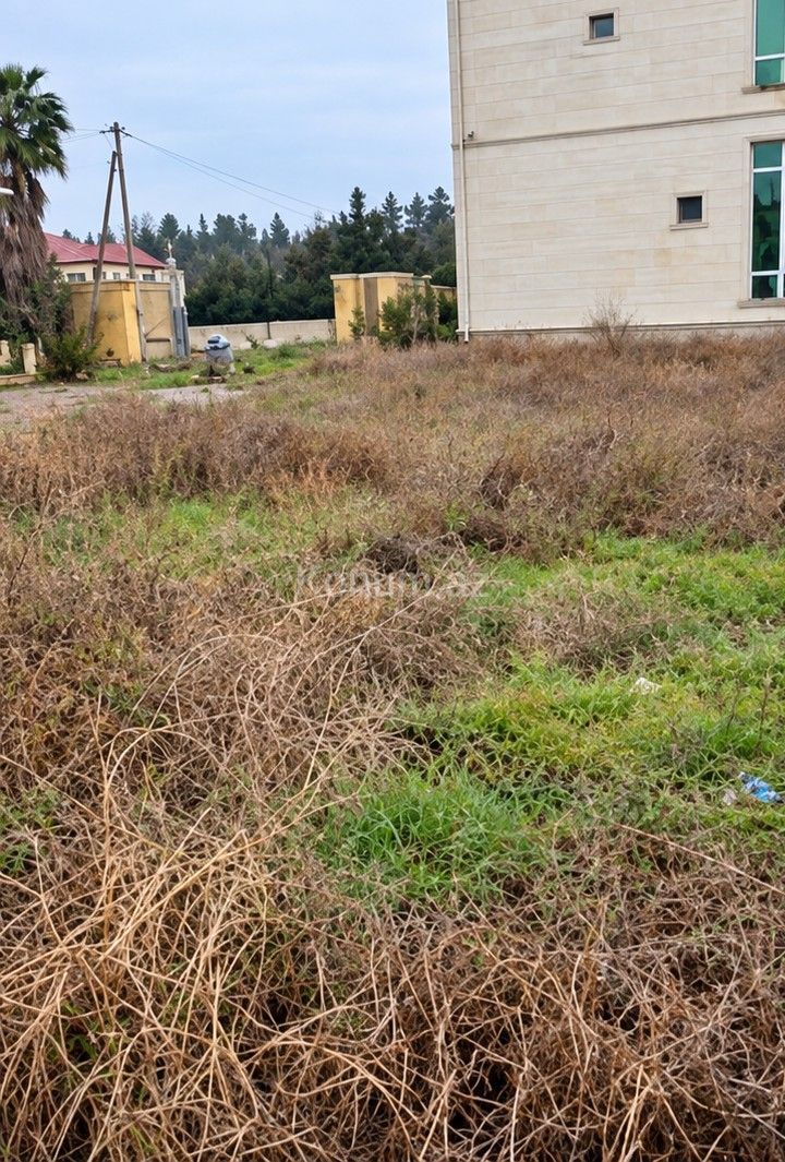 2 sot - Masallı - satılır — foto 2