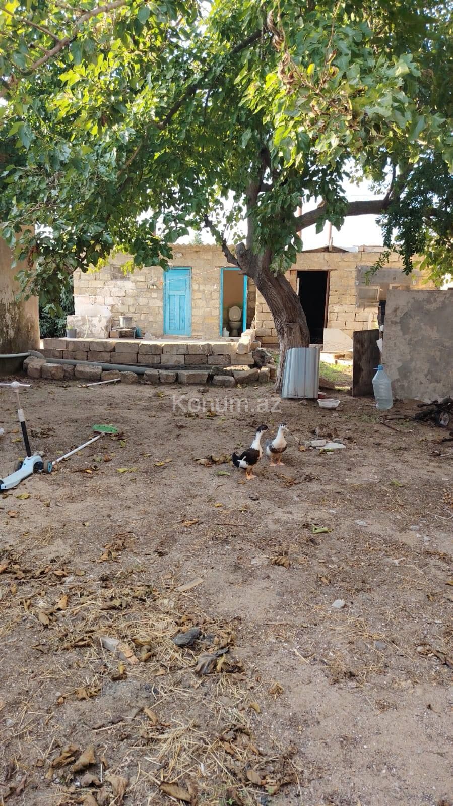 4 otaq, 90 m² - Bakı, Sabunçu - satılır — foto 2