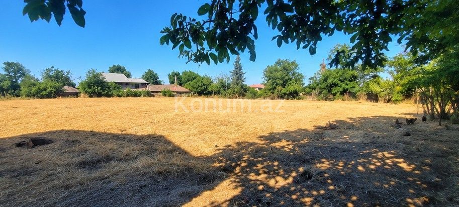 51 sot - Cəlilabad - satılır — foto 3