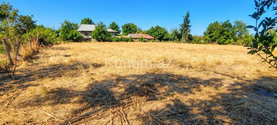 51 sot - Cəlilabad - satılır — foto 2