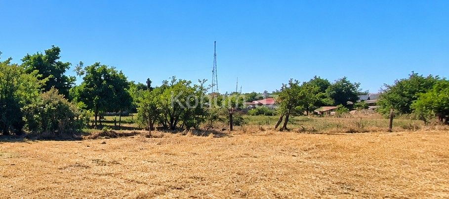 51 sot - Cəlilabad - satılır — foto 4