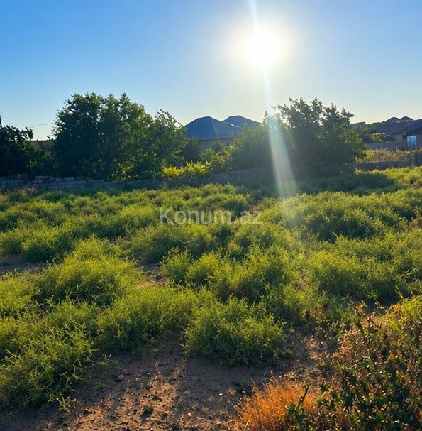 8 sot - Bakı, Abşeron - satılır — foto 3