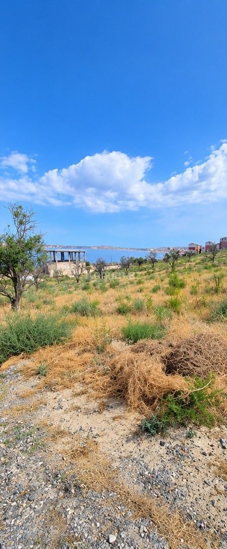 5 sot - Bakı, Abşeron - satılır — foto 3