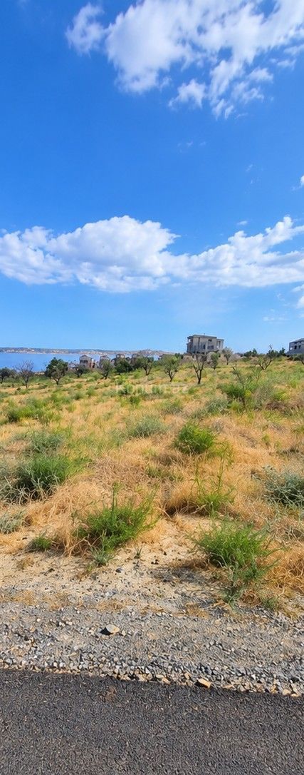 5 sot - Bakı, Abşeron - satılır — foto 2