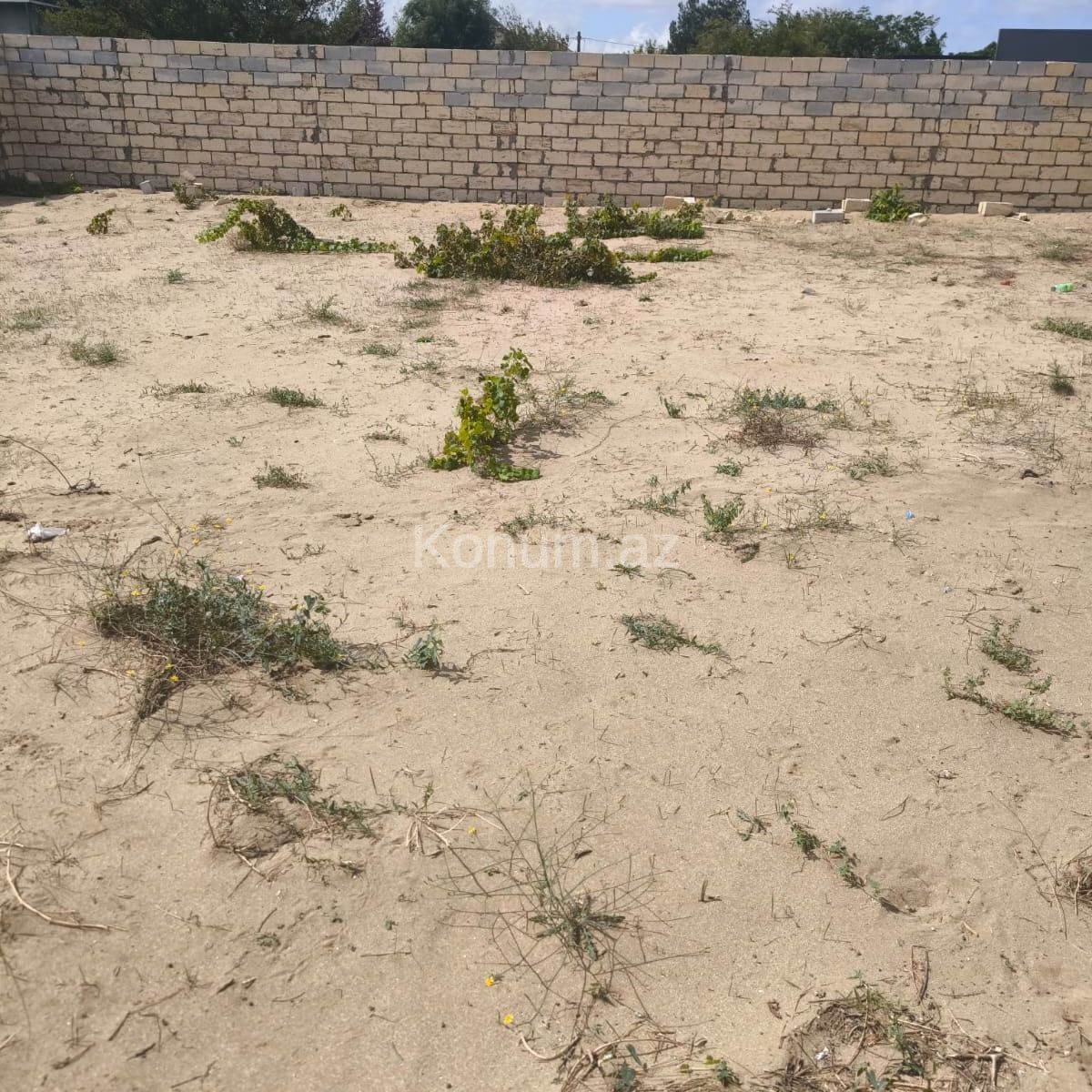 3 sot - Bakı, Abşeron - satılır — foto 2