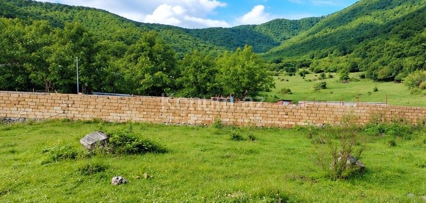 7,5 sot - Qax - satılır — foto 2