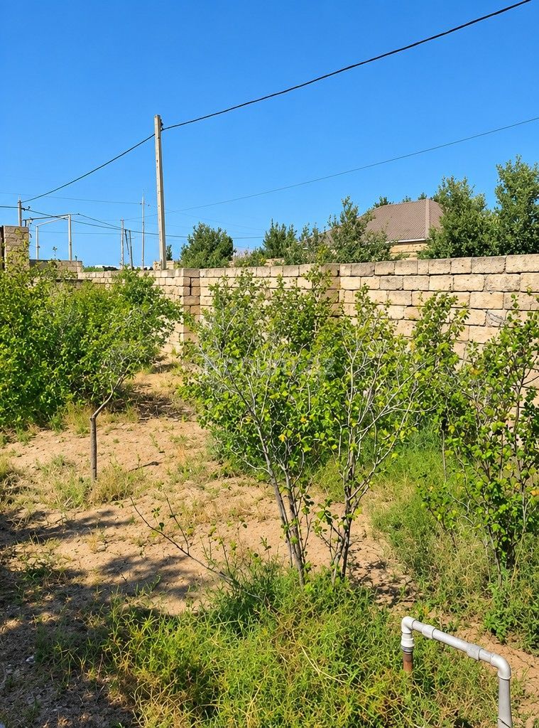 12 sot - Bakı, Xəzər - satılır — foto 2